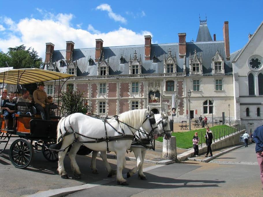 Blois City - Le Petit Louis XII Bagian luar foto